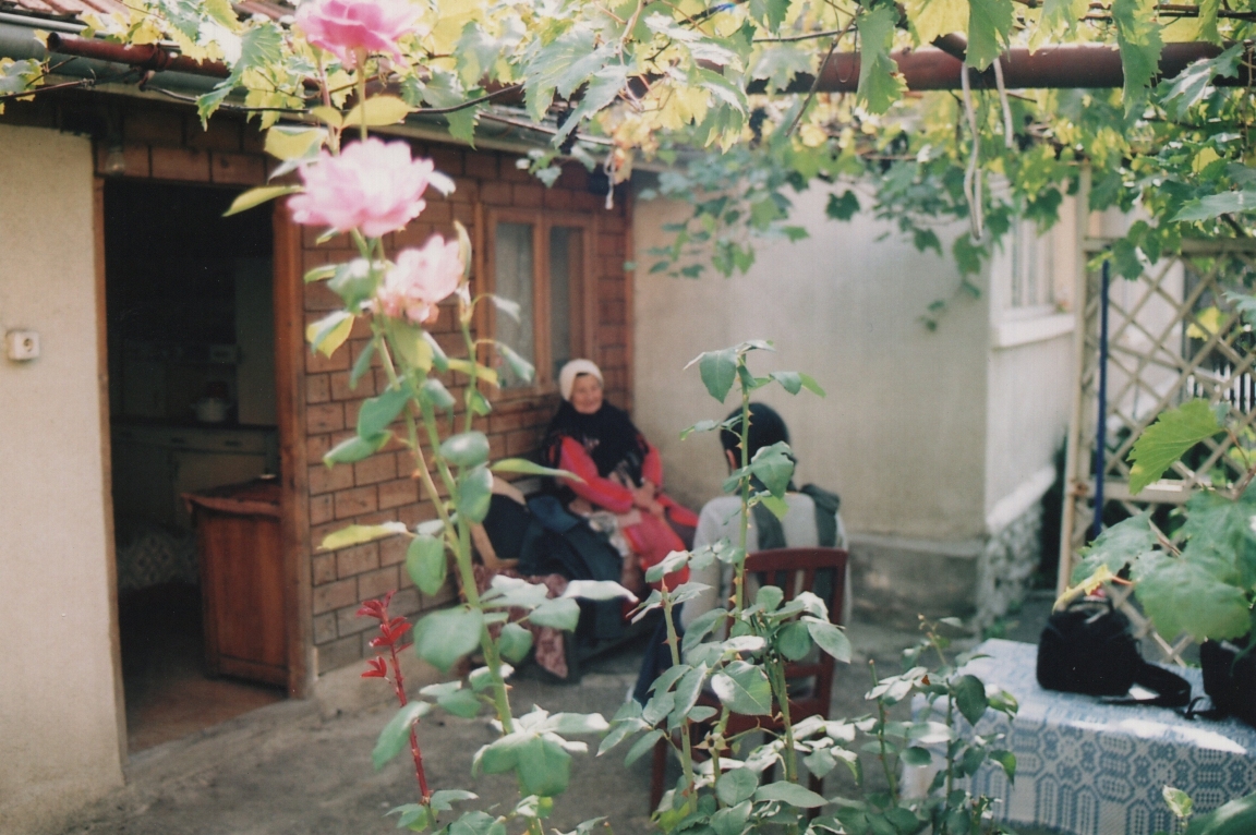 The Garden