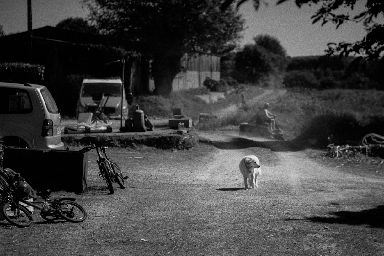 Documentary photograph from the Guinguette de Kercabiron