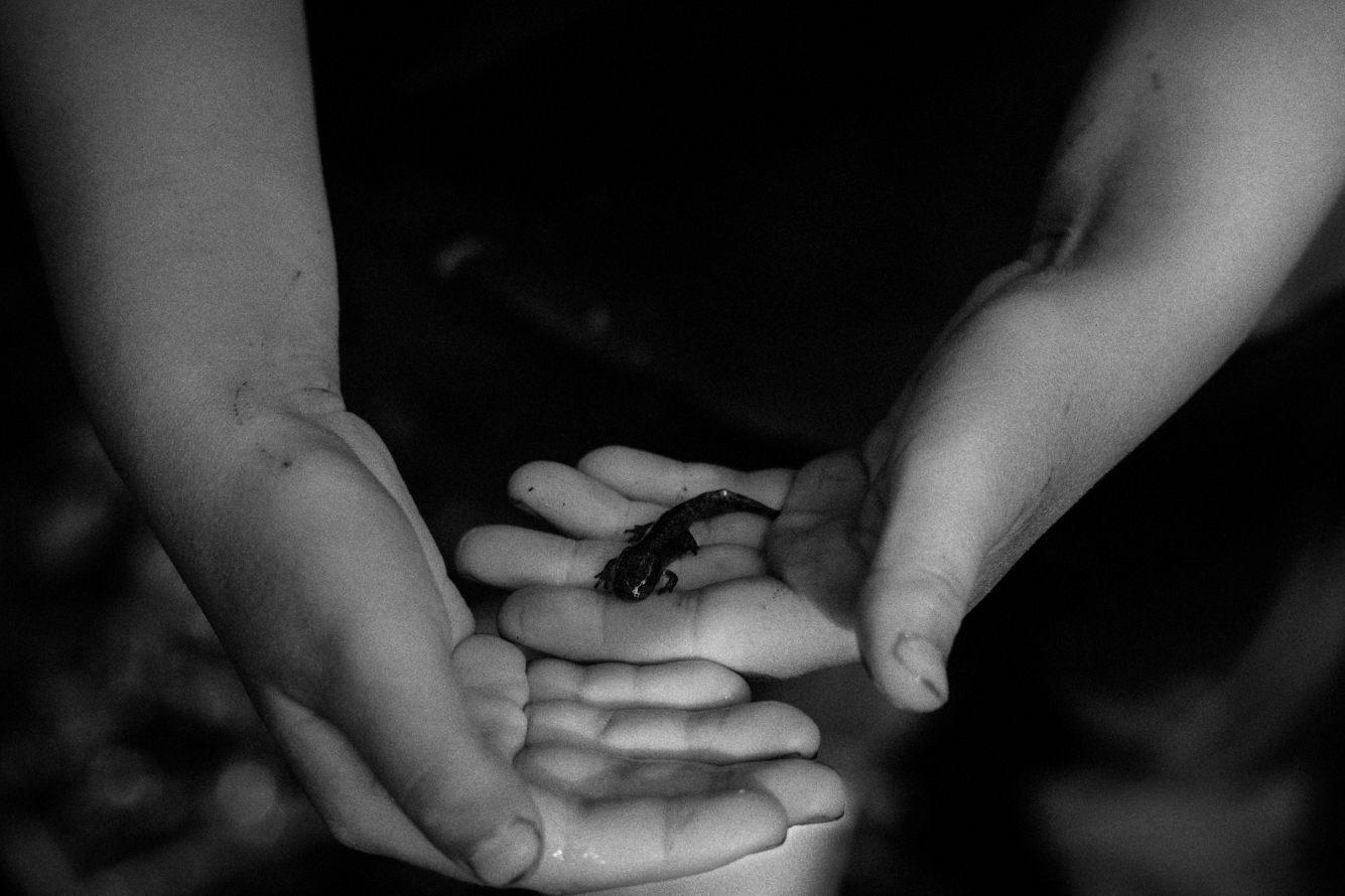 Documentary photograph from the Guinguette de Kercabiron