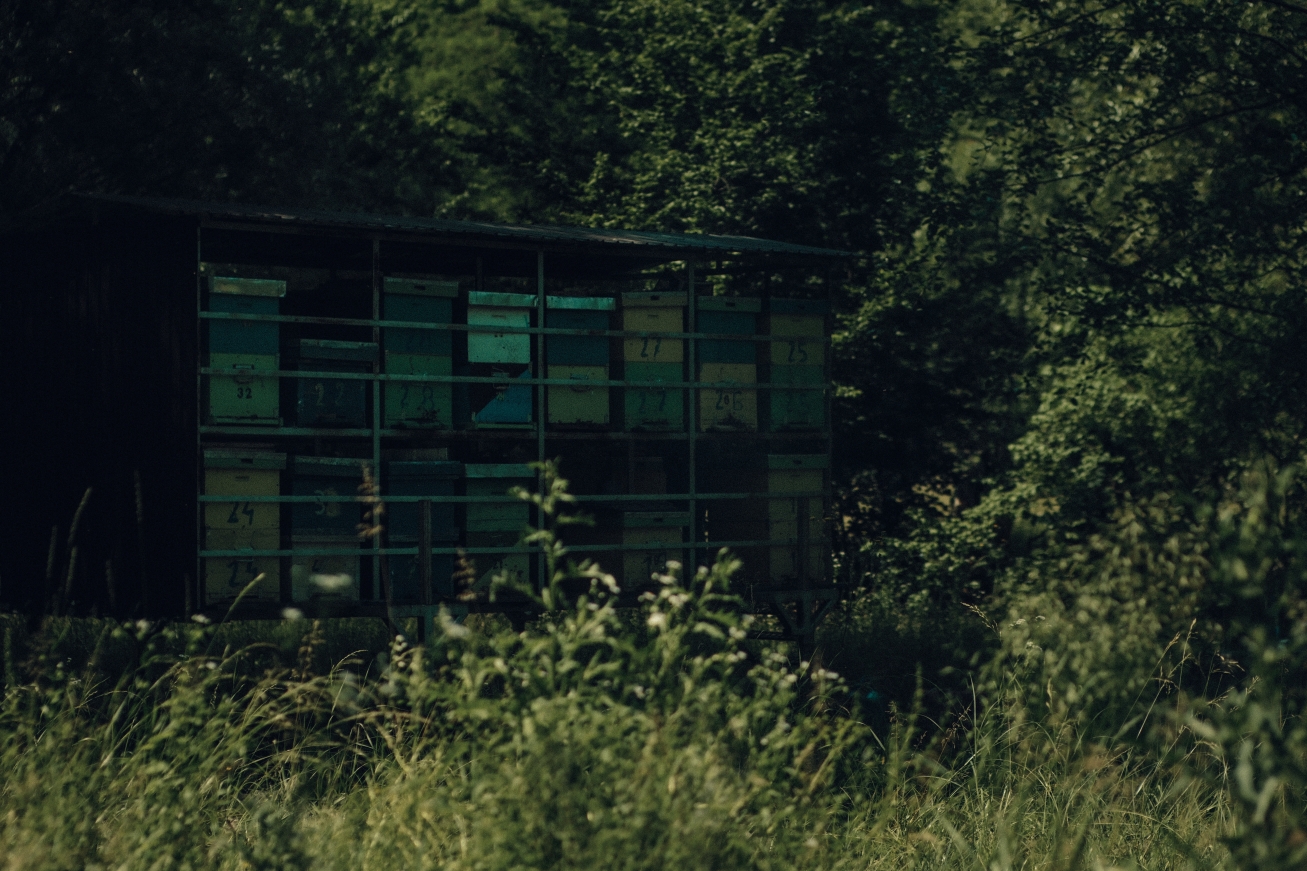 Documentary photograph from rural Romania